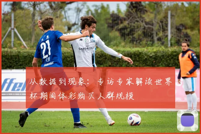 从数据到现象：专访专家解读世界杯期间体彩购买人群规模