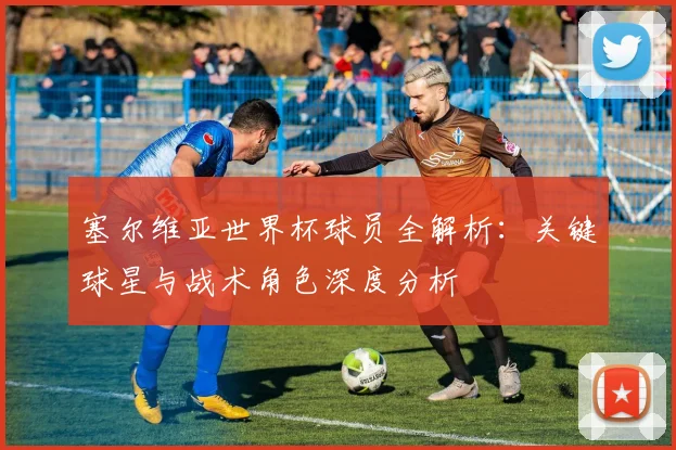 塞尔维亚世界杯球员全解析:关键球星与战术角色深度分析