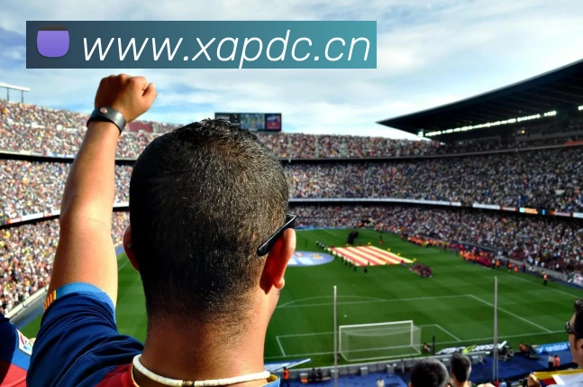 乐鱼平台生态图